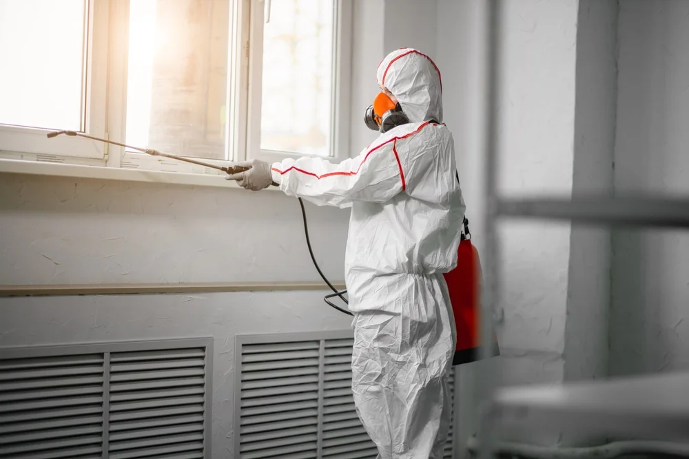 Professional mold remediation services in Woods Cross, UT